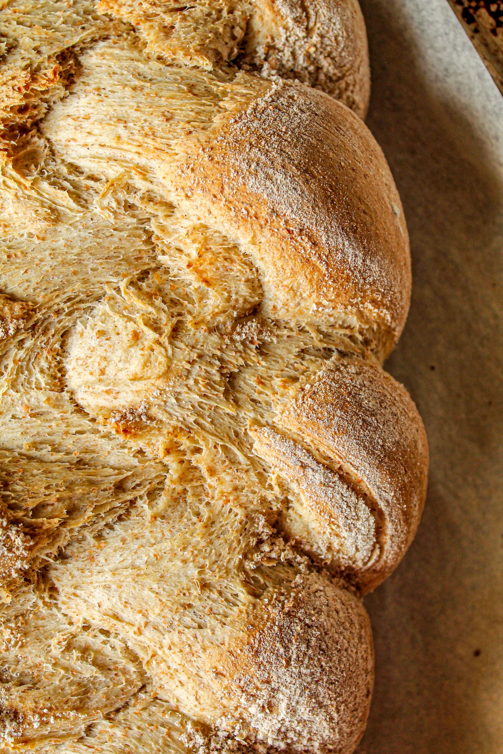 Filone di pane