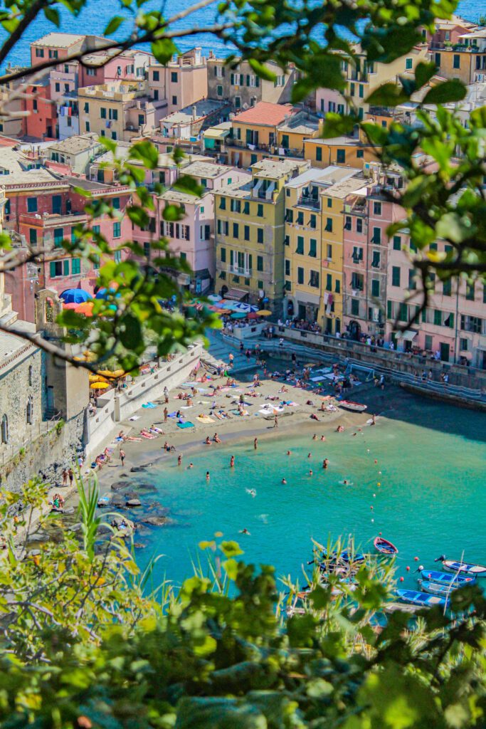 Mare turchese, case colorate, rami, Vernazza, Cinque Terre