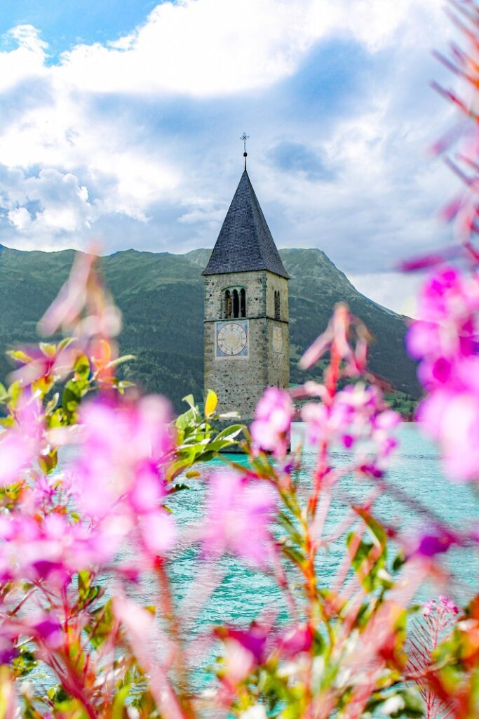 Fiori rosa e torre in mezzo al lago di Resia