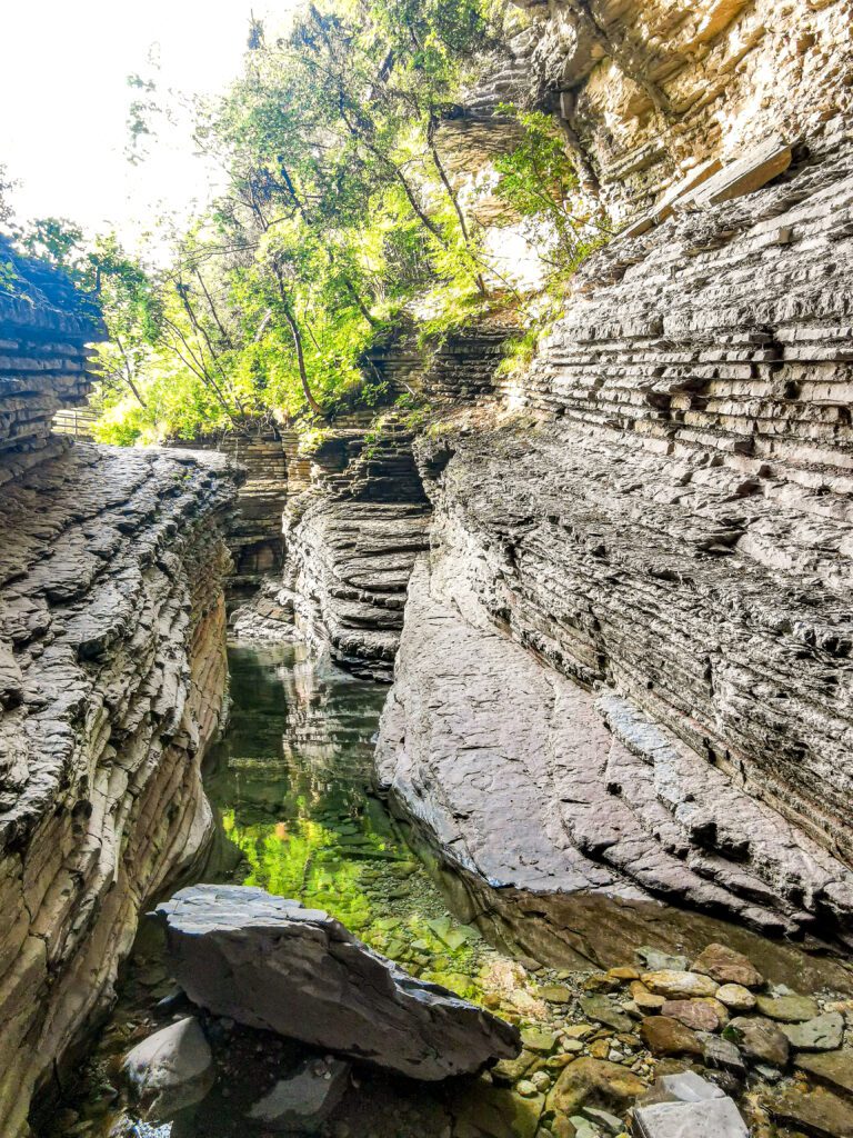 Brent de l'Art: Rocce, ruscello, alberi, natura