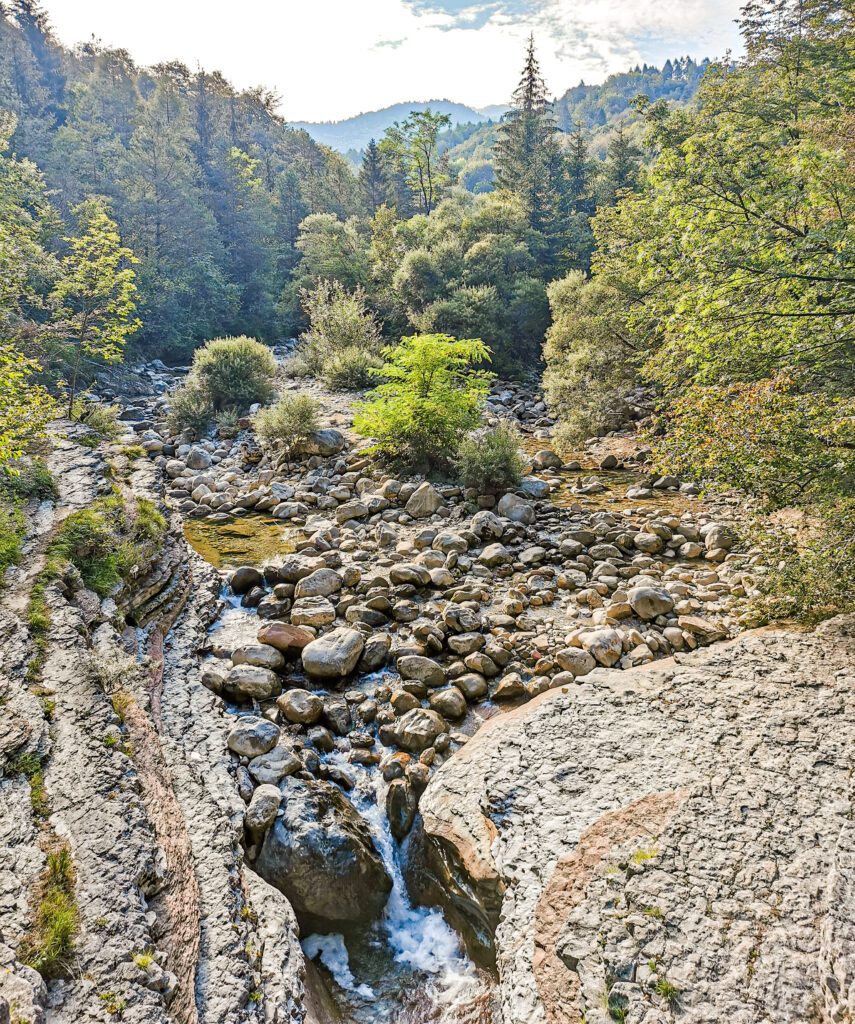 Brent de l'Art: Rocce, ruscello, alberi, natura