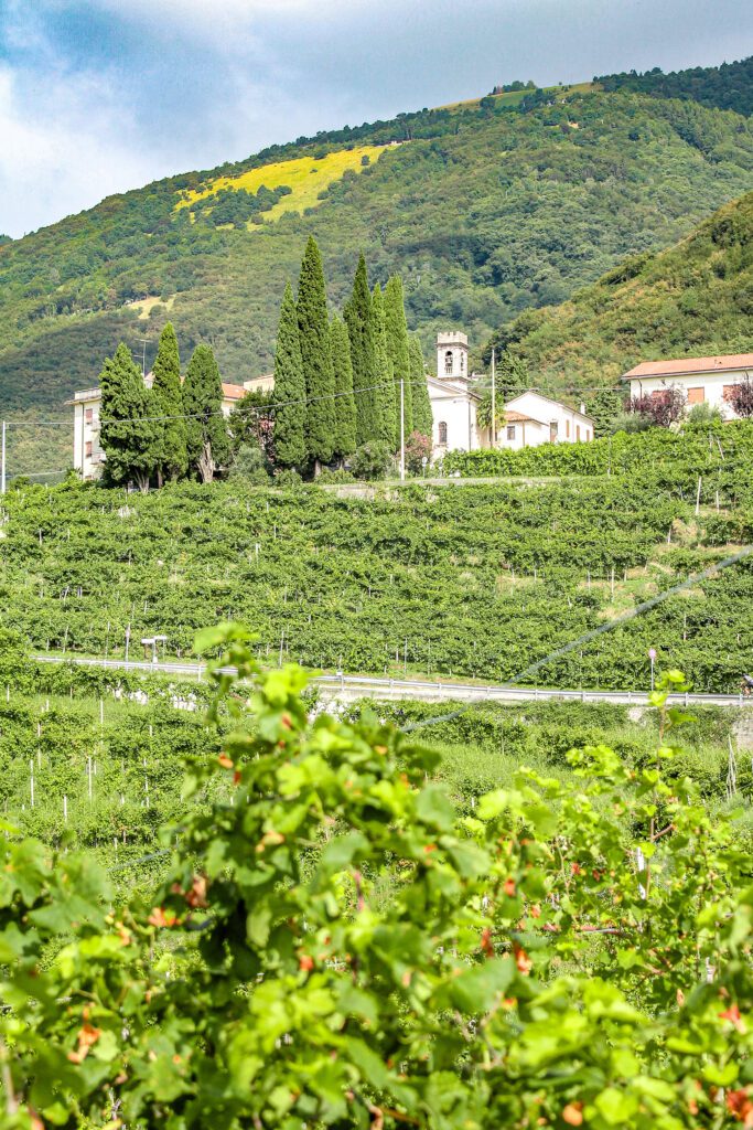 Filari, chiesa, verde