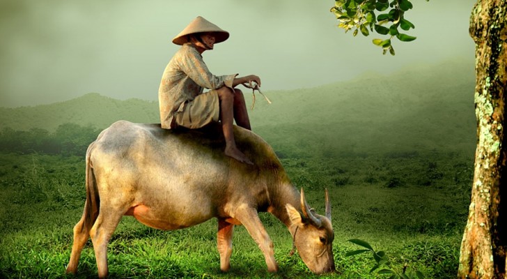 Parabola del contadino cinese: uomo con cappello seduto su un cavallo