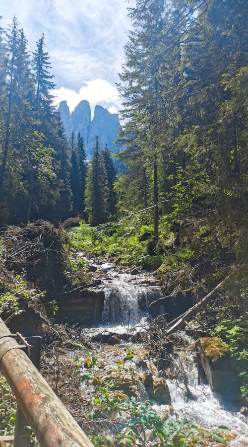 gruppo delle odle: Natura, ruscello, acqua, rocce, alberi, sole, montagne