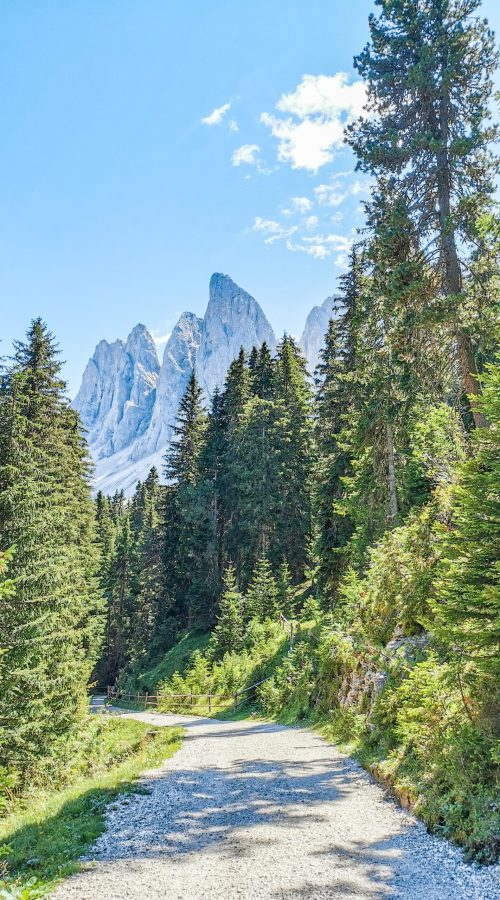 Gruppo delle Odle: Alberi, cielo azzurro, montagne sullo sfondo, strada asfaltata