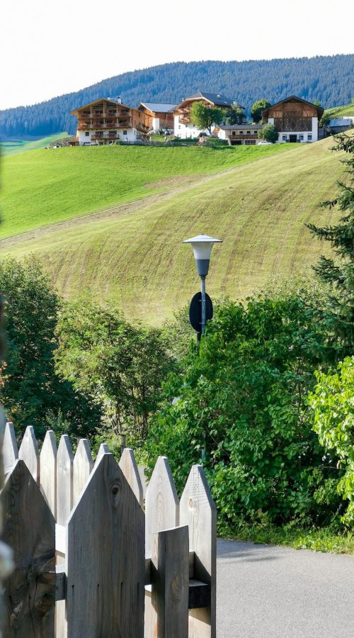 prato verde collina, casa di legno, montagne sullo sfondo