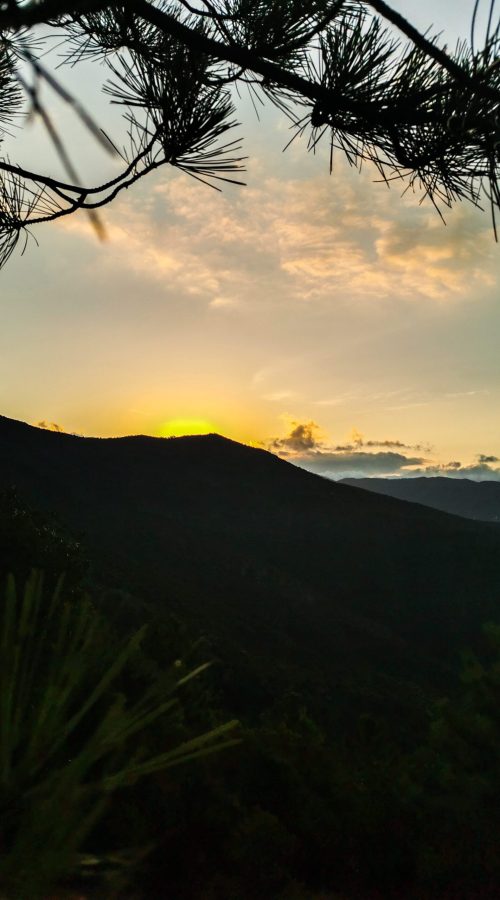 Trekking a Sestri Levante: colori tenui alba, ramo di pino, montagne