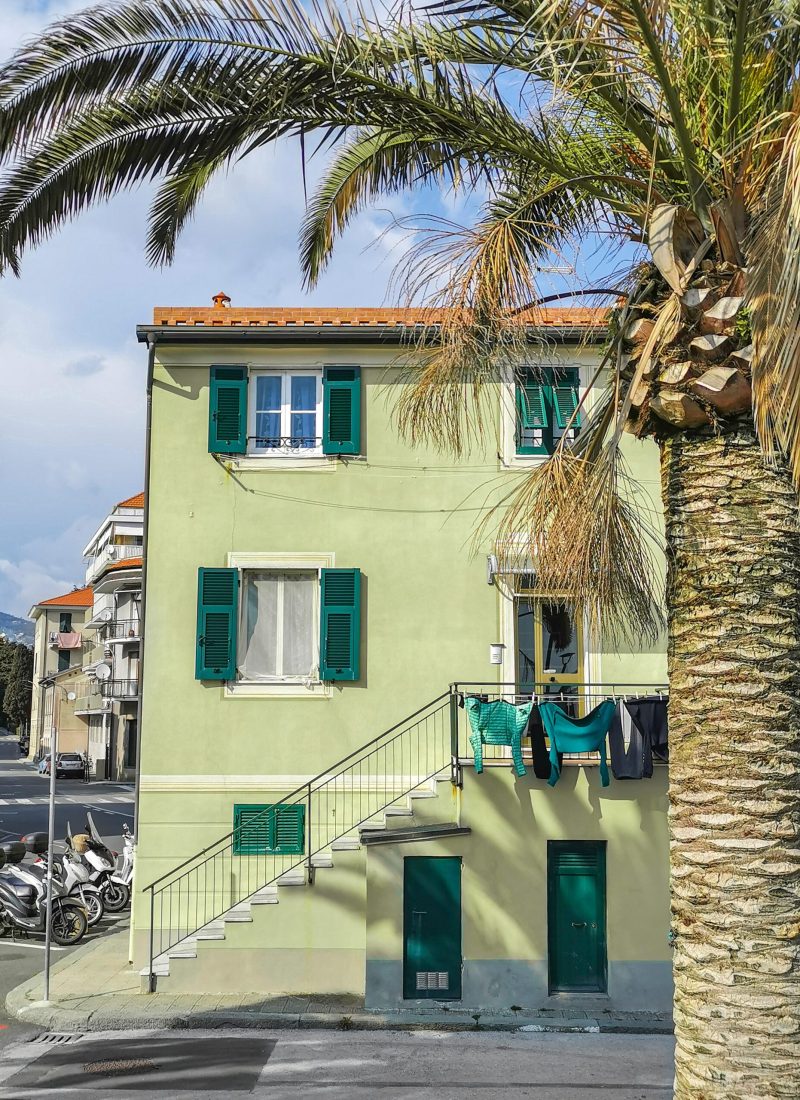 casa verde, persiane verde scuro, cielo azzurro, palma