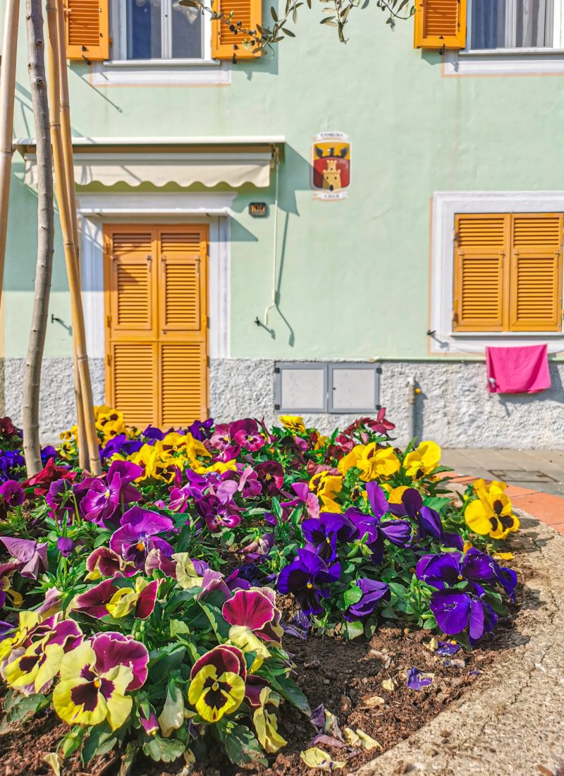 casa verde, persiane arancioni, fiori colorati