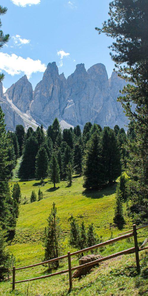 Gruppo delle Odle: Alberi, cielo azzurro, montagne sullo sfondo, strada asfaltata