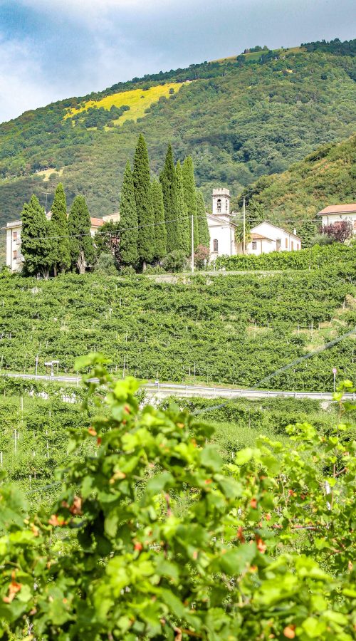 Filari, chiesa, verde