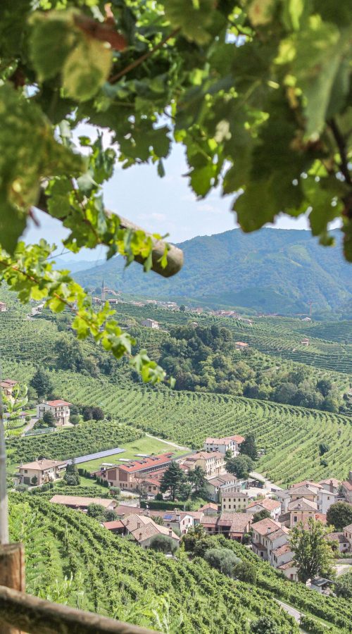 Osteria senz'oste: colline verdi, filari, case