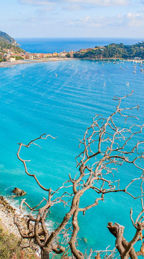 mare turchese, cielo azzurro, costa e rovi